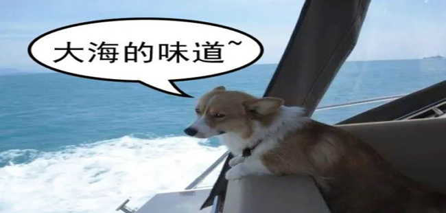女性大腿根部越黑性生活越丰富？别傻了，其根